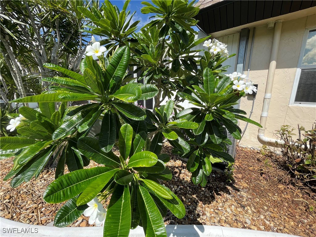 4808 Hidden Harbour Boulevard Fort Myers FL 33919 225057173 image30