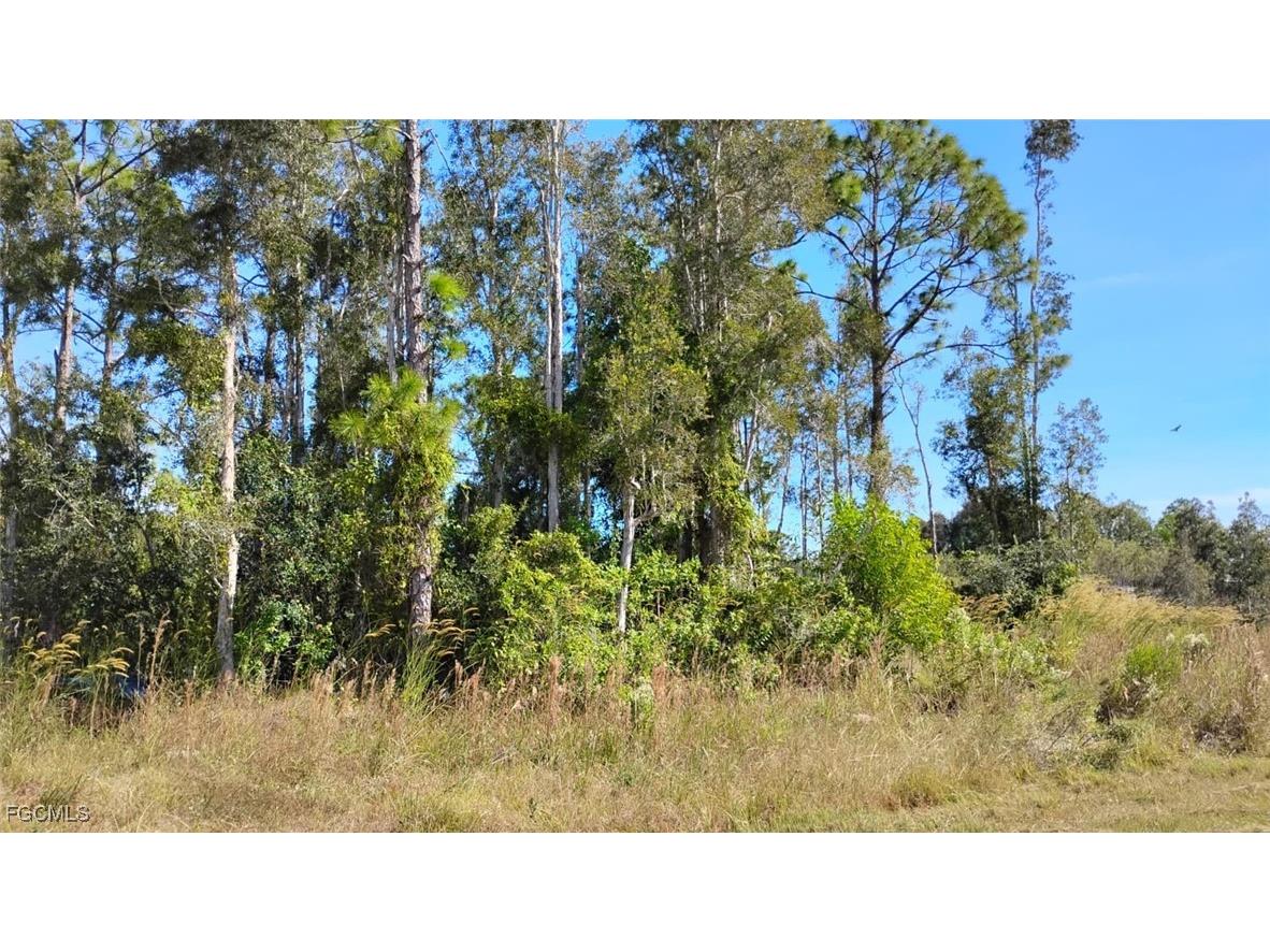 4810 30th Street SW Lehigh Acres FL 33973 2025022062 image2