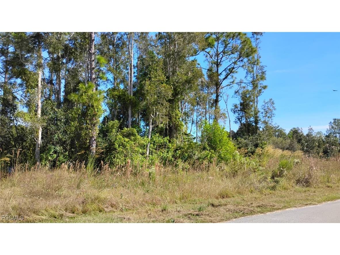 4810 30th Street SW Lehigh Acres FL 33973 2025022062 image3