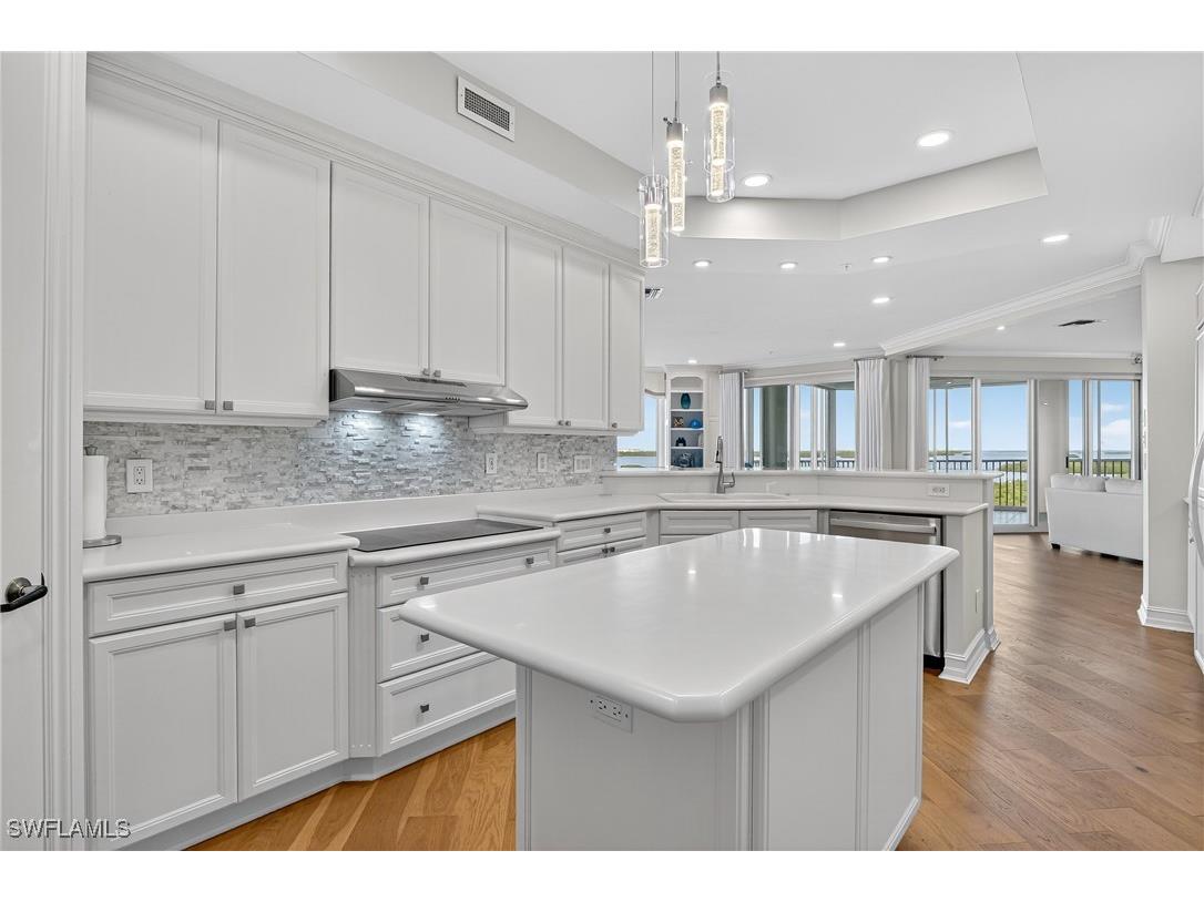 4811 Island Pond Court #604 Bonita Springs FL 34134 225078101 image17