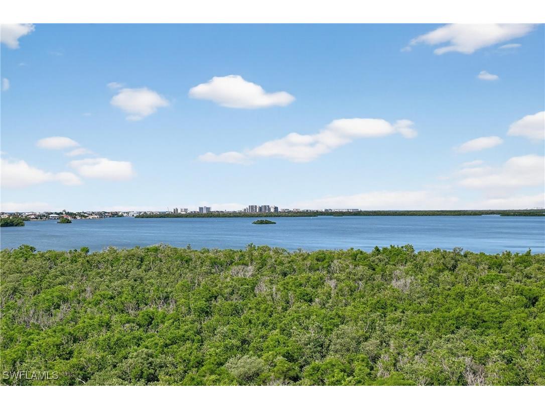 4811 Island Pond Court #604 Bonita Springs FL 34134 225078101 image36