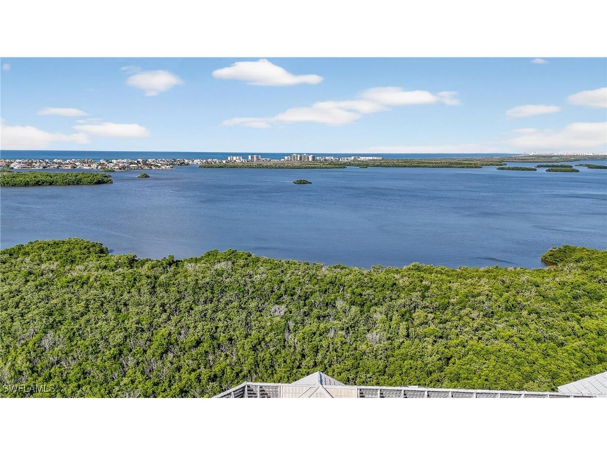 4811 Island Pond Court #604 Bonita Springs FL 34134 225078101 image49