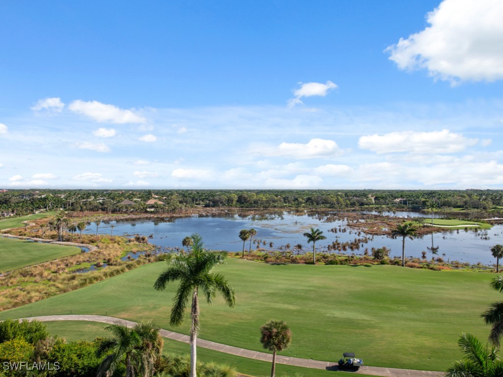 4811 Island Pond Court #705 Bonita Springs FL 34134 225076363 image36