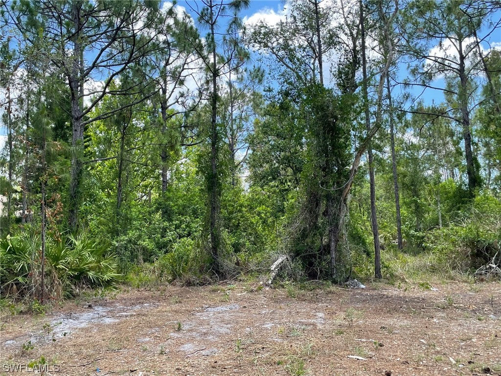 4814 30th Street SW Lehigh Acres FL 33973 223040035 image1