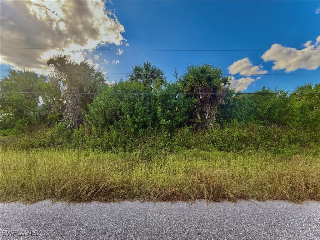 482 Labree Avenue S Lehigh Acres FL 33974 224091181 image1
