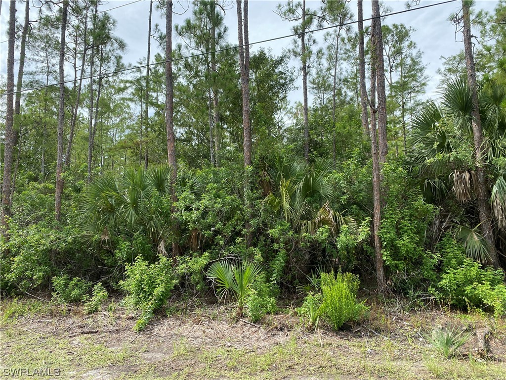 4820 2nd Avenue SE Naples FL 34117 223056236 image1