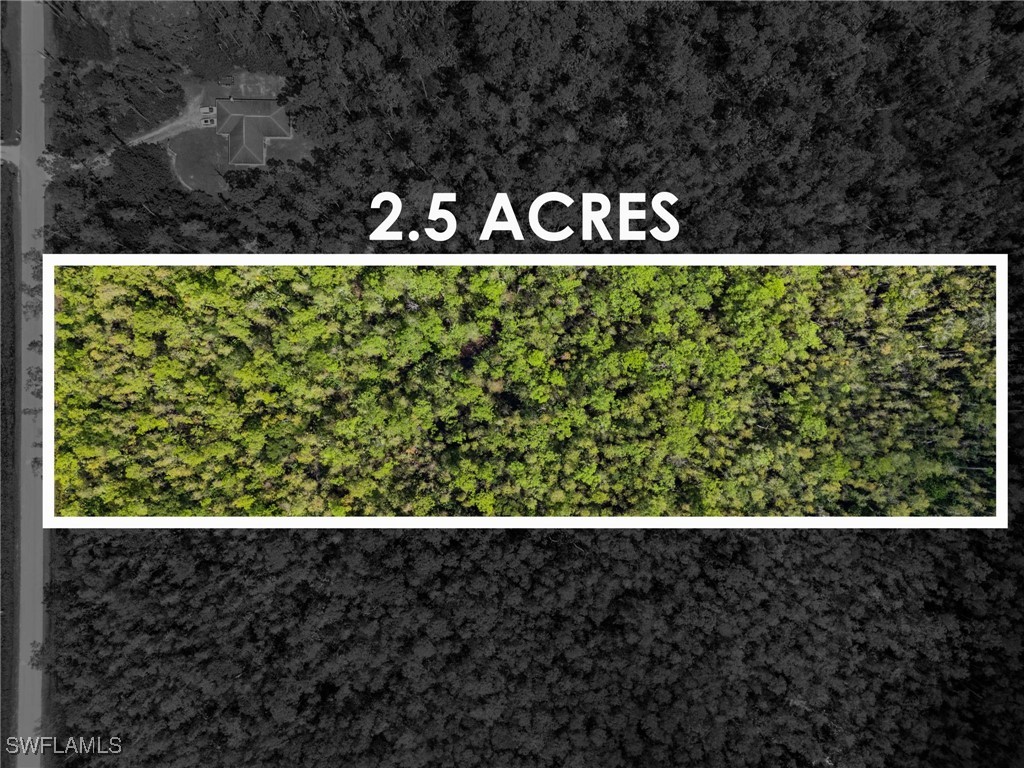 4820 2nd Avenue SE Naples FL 34117 225071131 image6