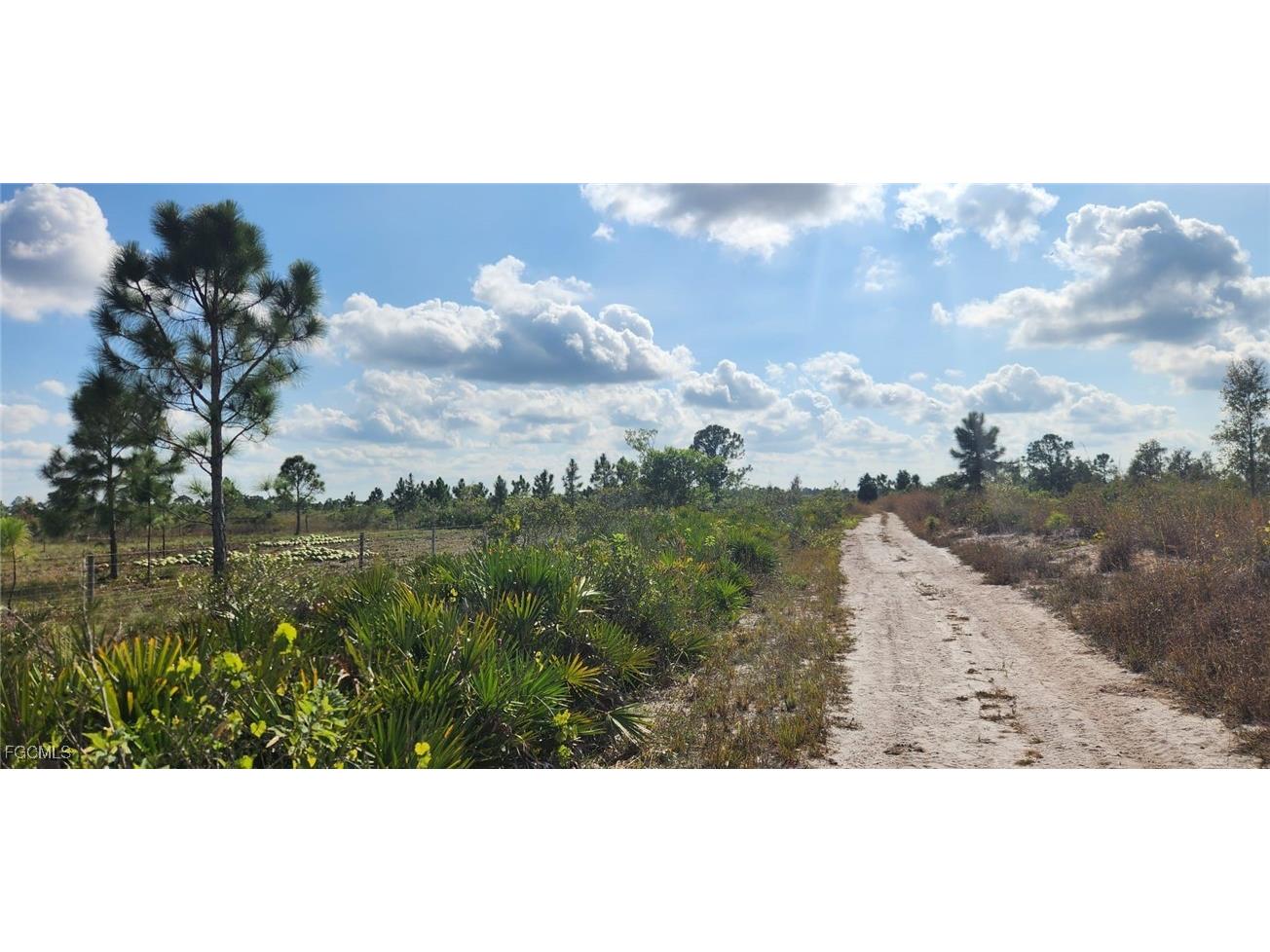 48345 Bermont Road Punta Gorda FL 33982 224039516 image5