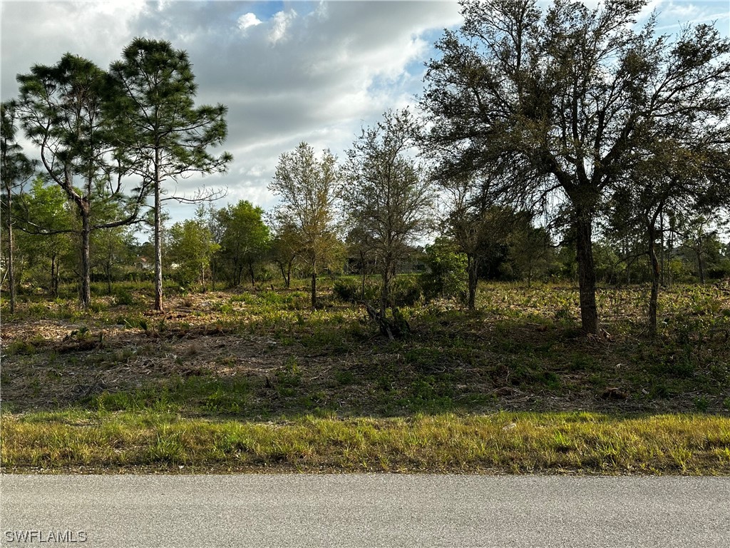 487 Woodman Drive Lehigh Acres FL 33972 224023213 image1