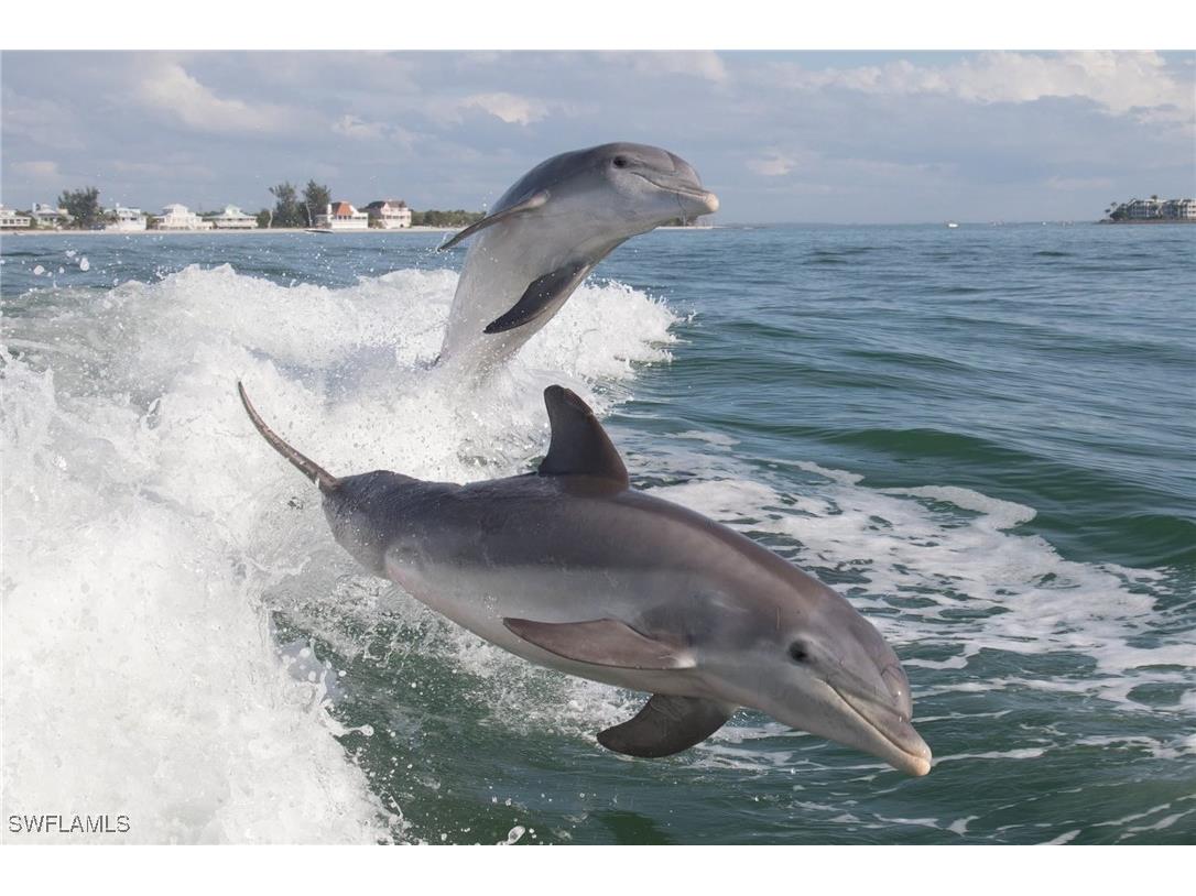 4870 Coral Road Fort Myers Beach FL 33931 224101955 image32