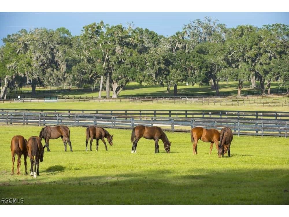 4880 Landen Lane Fort Myers FL 33905 2026012893 image6