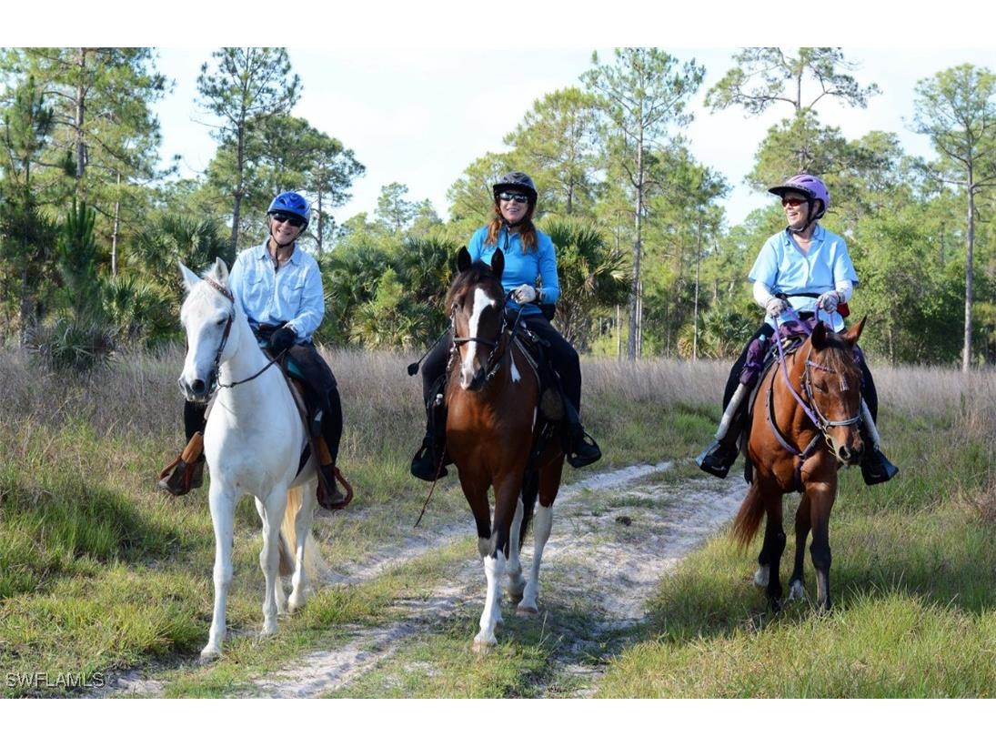 4880 Landen Lane Fort Myers FL 33905 225059739 image14