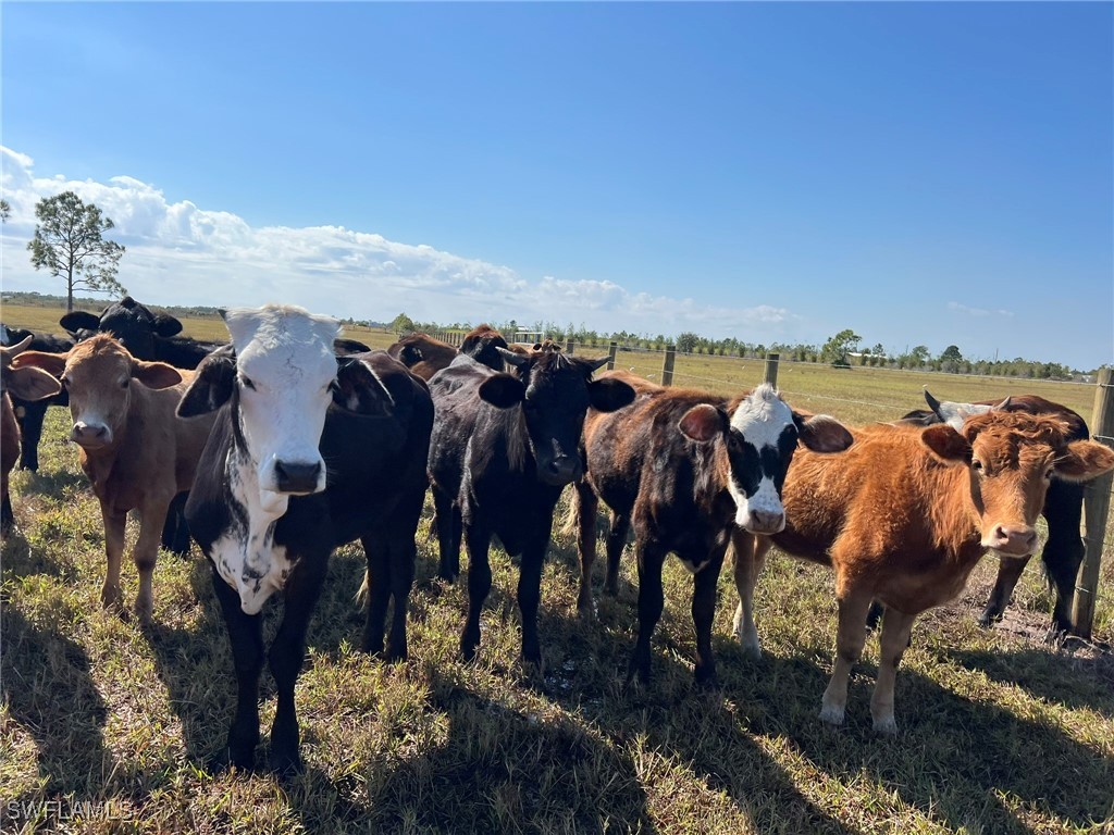 48843 Bermont Road Punta Gorda FL 33982 225031868 image1