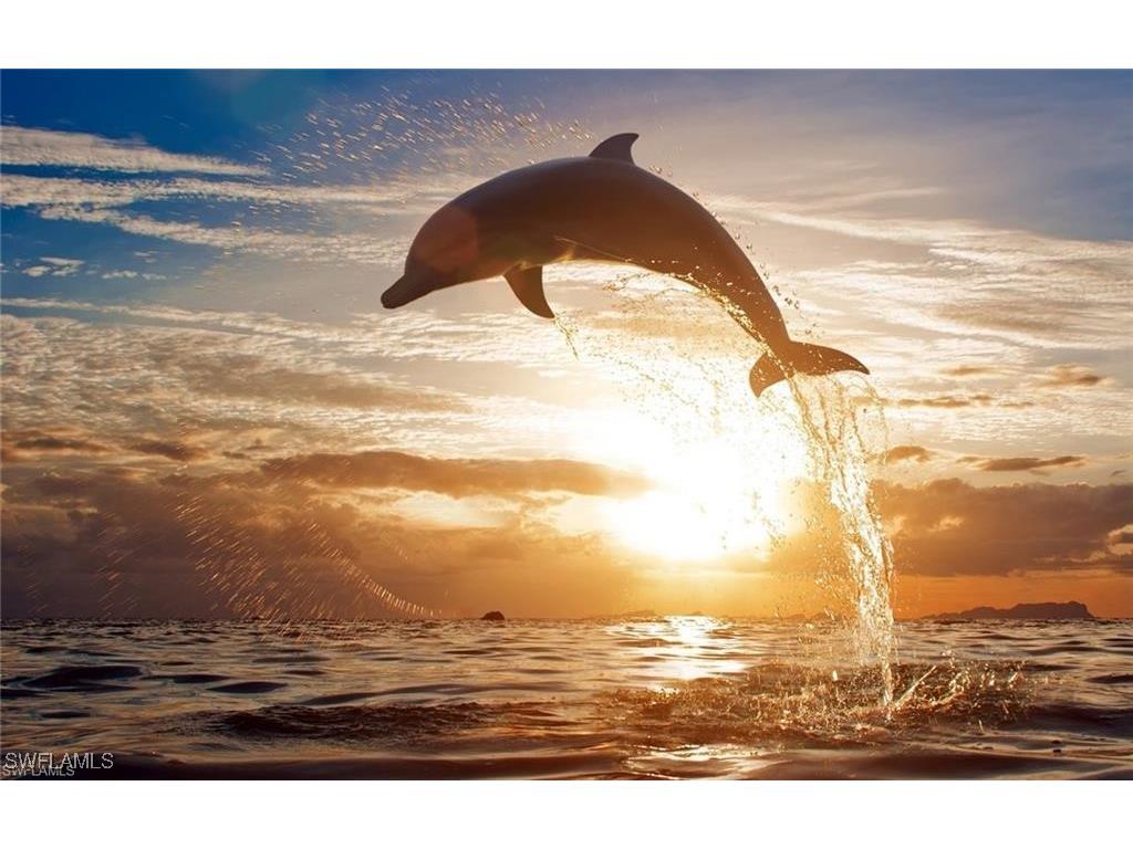 4895 Bonita Beach Road #302 Bonita Springs FL 34134 226004089 image5