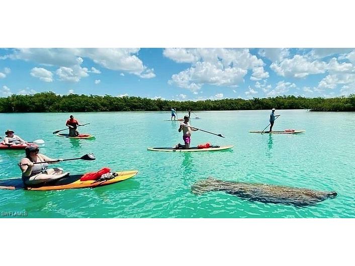 4895 Bonita Beach Road #505 Bonita Springs FL 34134 225075733 image5