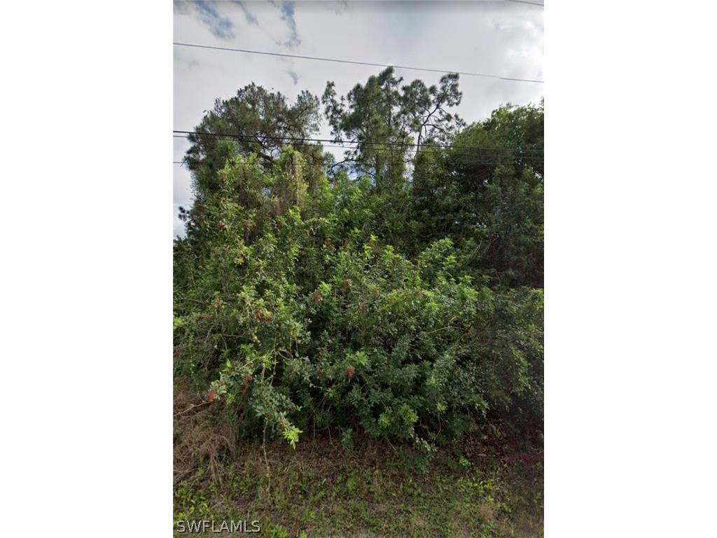 4905 6th Street W Lehigh Acres FL 33971 222033984 image1