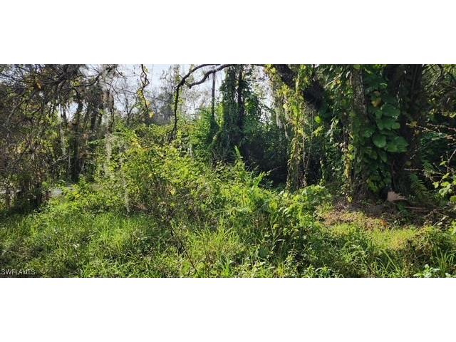 4910 N Miraham Drive Immokalee FL 34142 225067030 image3