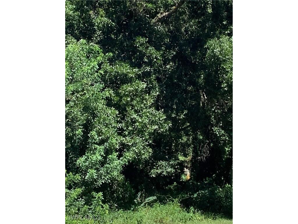 4910 N Miraham Drive Immokalee FL 34142 225067030 image4