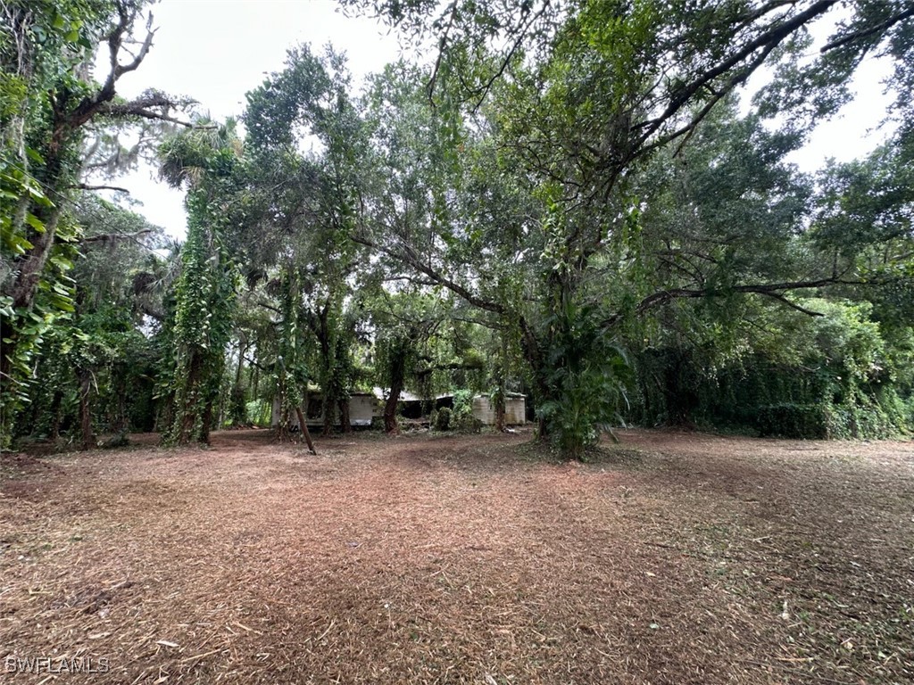 4910 N Miraham Drive Immokalee FL 34142 225067030 image9