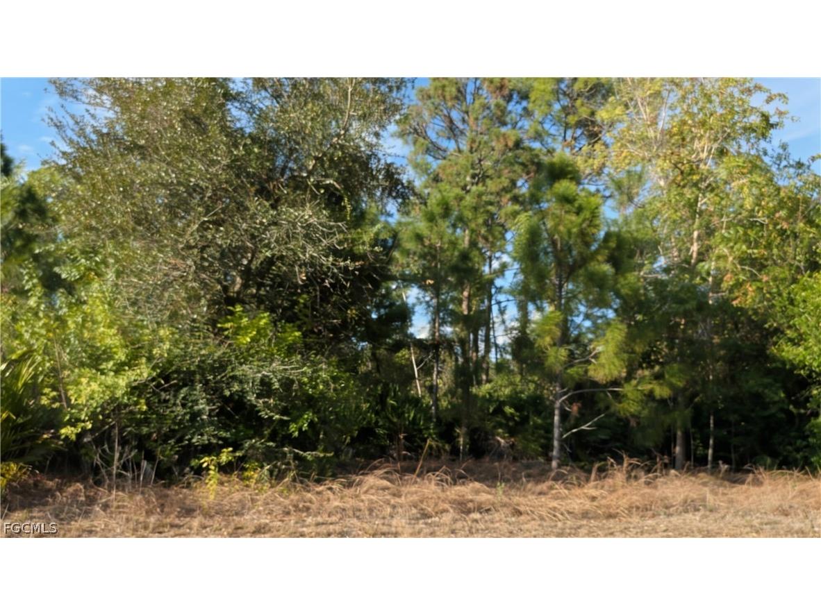 4914 2nd Street W Lehigh Acres FL 33971 2026010512 image1