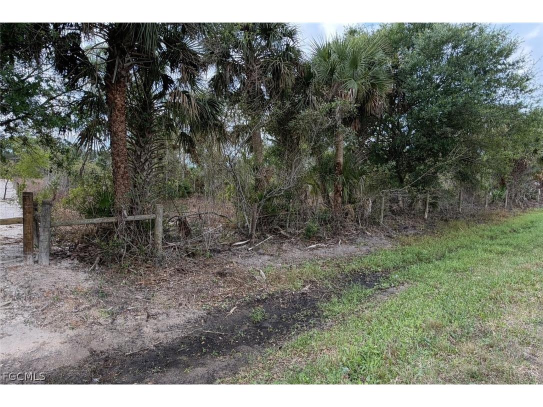49151 Bermont Road Punta Gorda FL 33982 2026013398 image10
