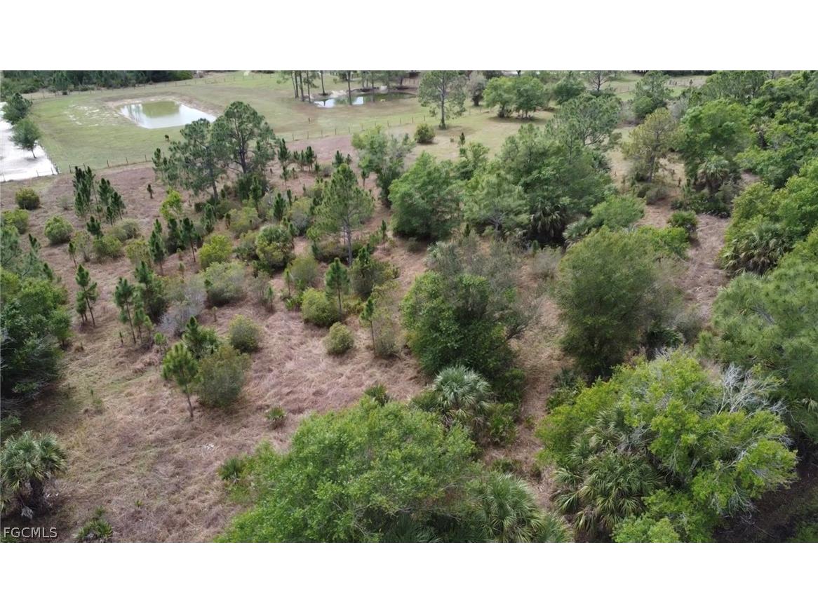 49151 Bermont Road Punta Gorda FL 33982 2026013398 image6