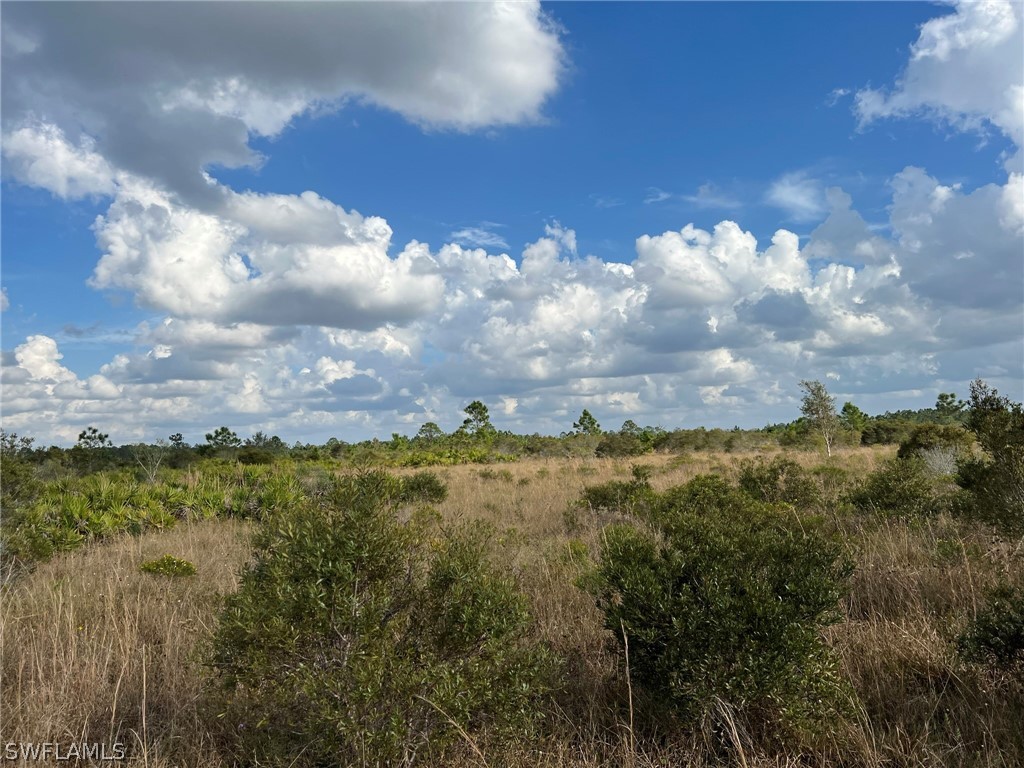 49165 Bermont Road Punta Gorda FL 33982 223004725 image1