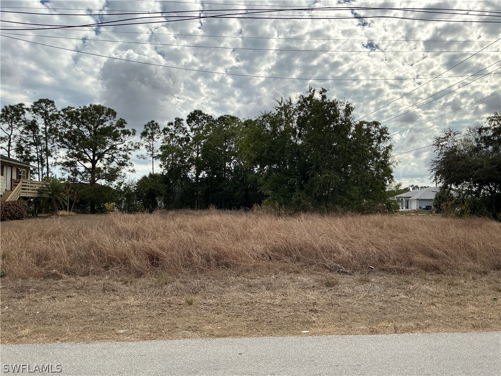 4917 2nd Street W Lehigh Acres FL 33971 226010029 image1