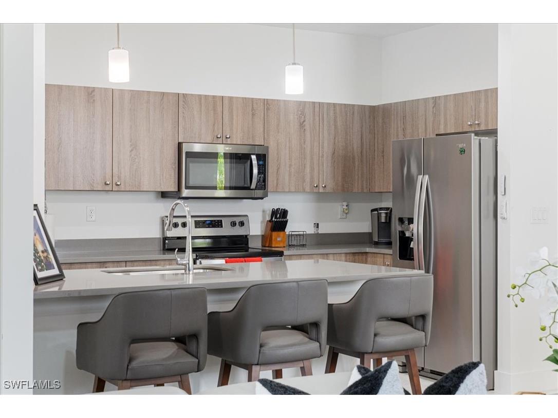 4925 Gambero Way Ave Maria FL 34142 225075537 image18