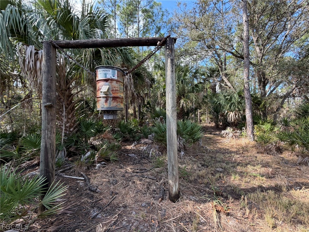 49337 Bermont Road Punta Gorda FL 33982 2026008804 image10