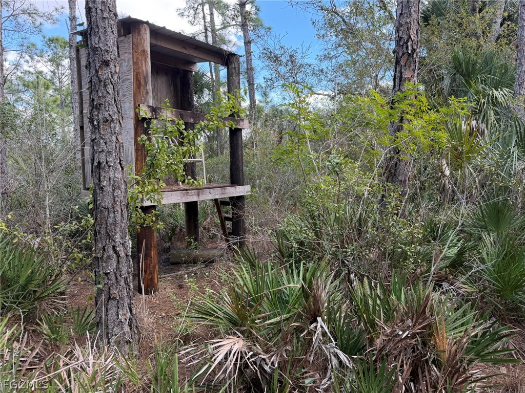 49337 Bermont Road Punta Gorda FL 33982 2026008804 image11