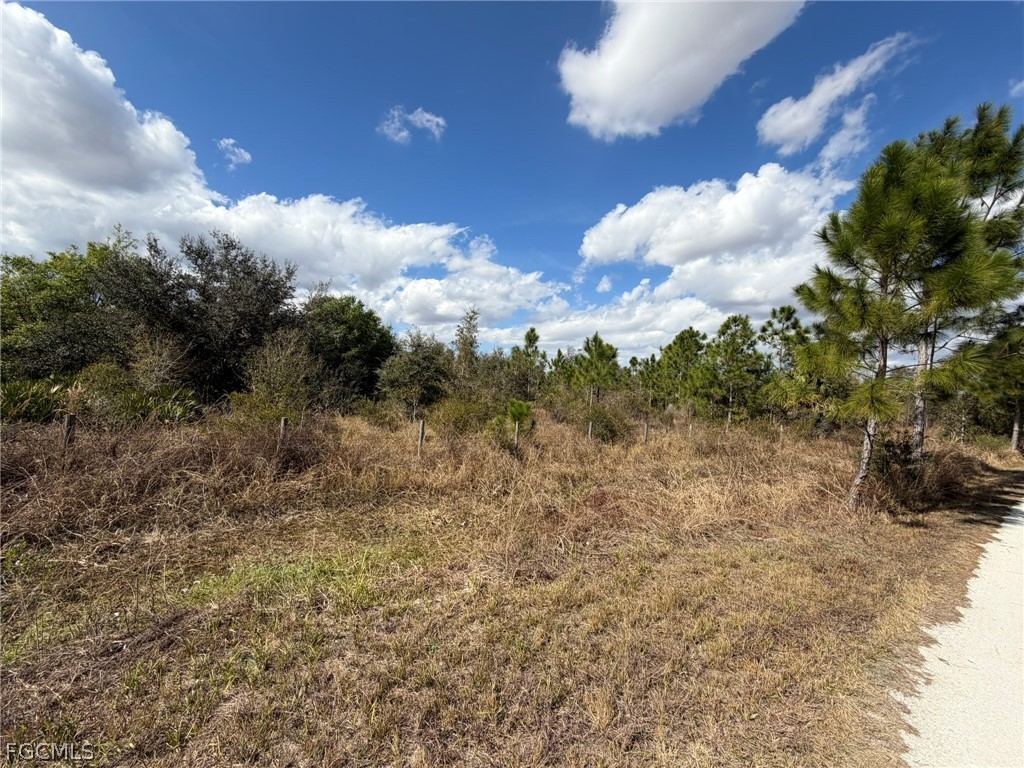 49337 Bermont Road Punta Gorda FL 33982 2026008804 image3