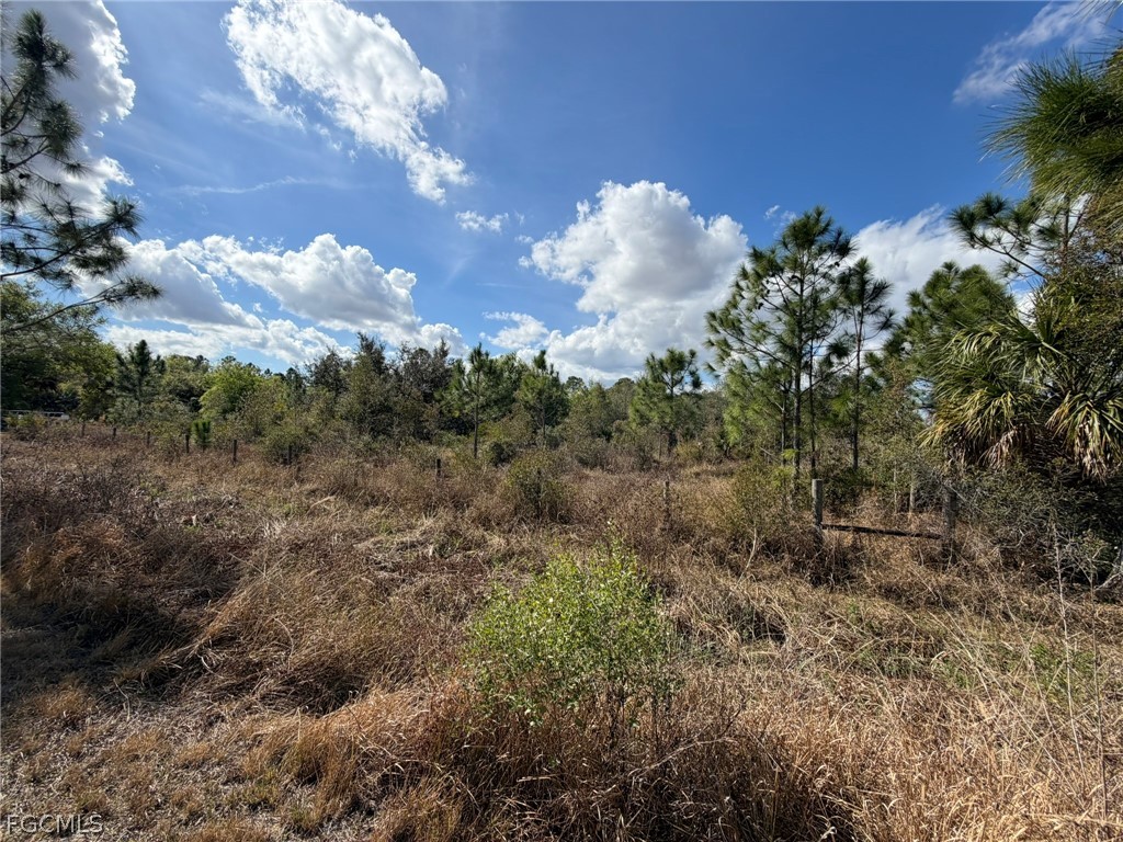 49337 Bermont Road Punta Gorda FL 33982 2026008804 image5