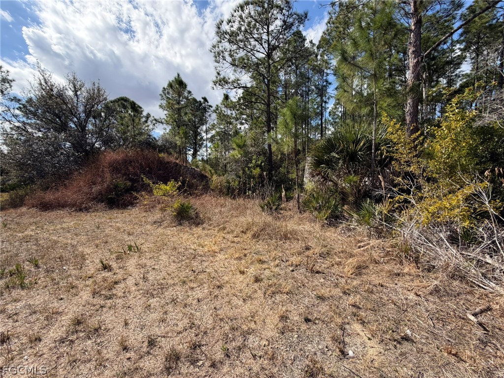 49337 Bermont Road Punta Gorda FL 33982 2026008804 image8