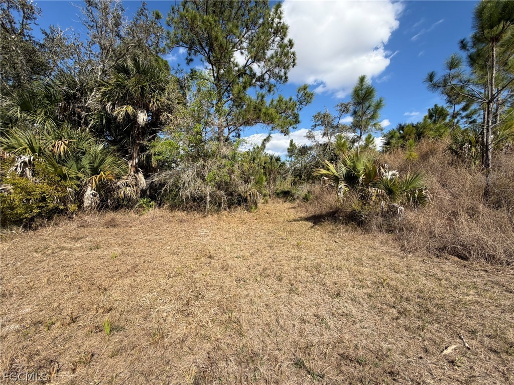 49337 Bermont Road Punta Gorda FL 33982 2026008804 image9