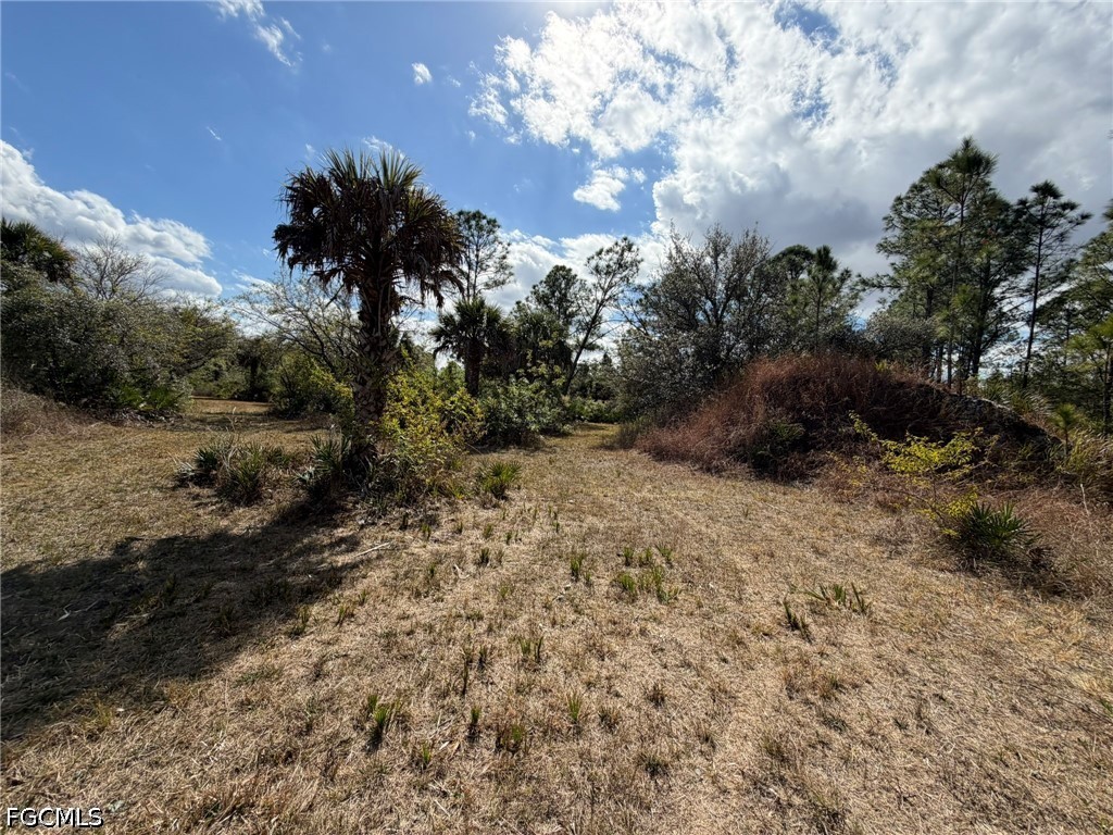 49337 Bermont Road Punta Gorda FL 33982 2026023989 image3