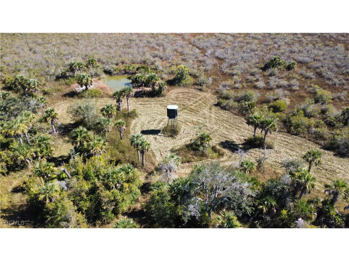 49585 Bermont Road Punta Gorda FL 33982 2025020888 image12