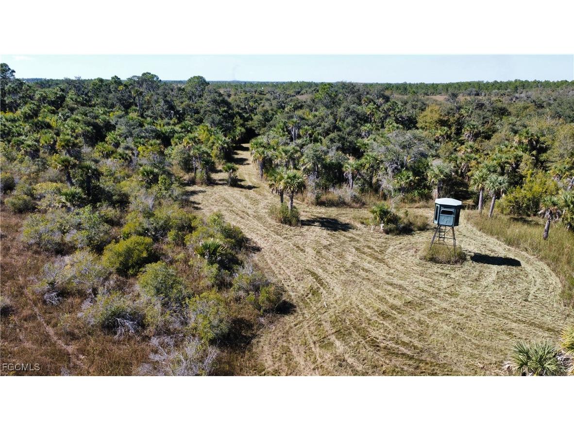 49585 Bermont Road Punta Gorda FL 33982 2025020888 image13