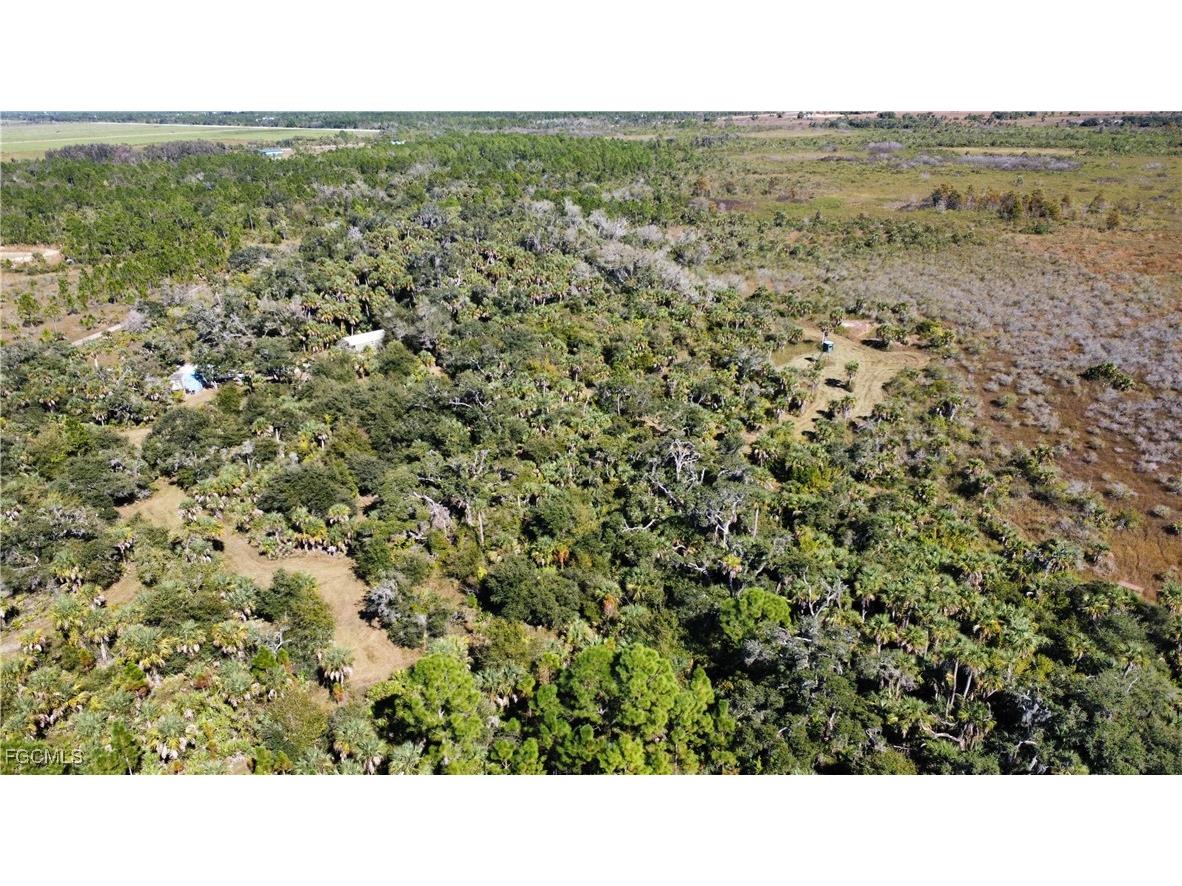 49585 Bermont Road Punta Gorda FL 33982 2025020888 image16