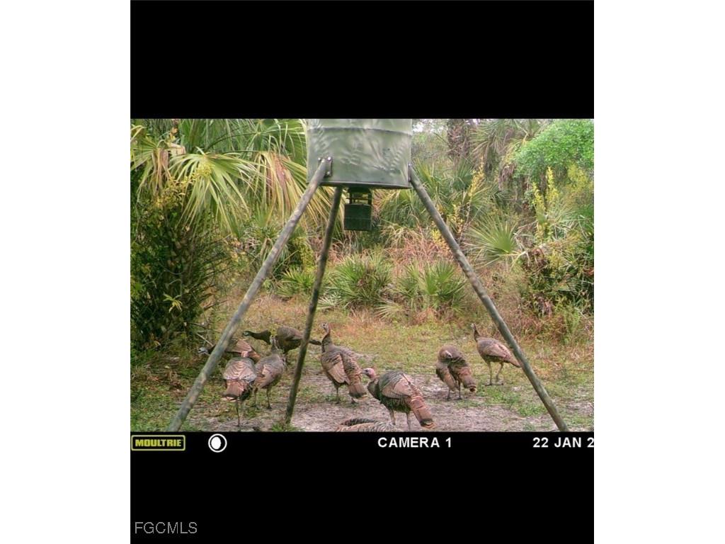 49585 Bermont Road Punta Gorda FL 33982 2025020888 image19