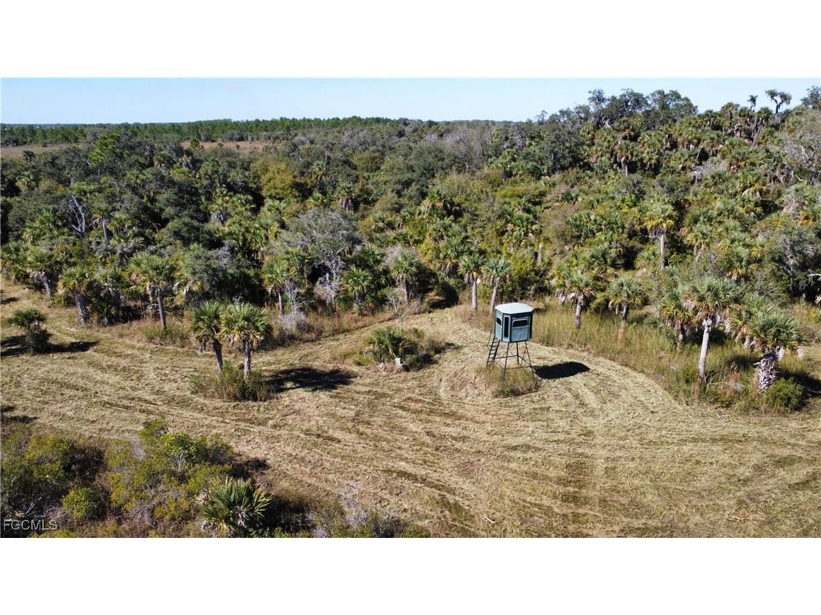 49585 Bermont Road Punta Gorda FL 33982 2025020888 image2