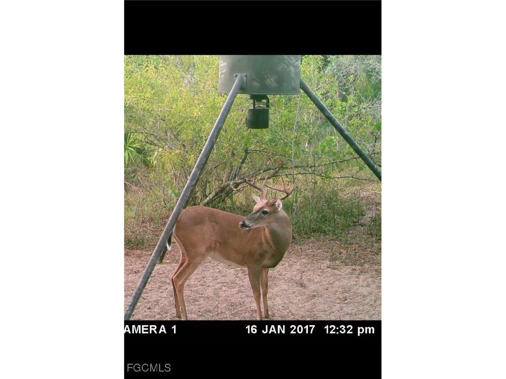 49585 Bermont Road Punta Gorda FL 33982 2025020888 image20