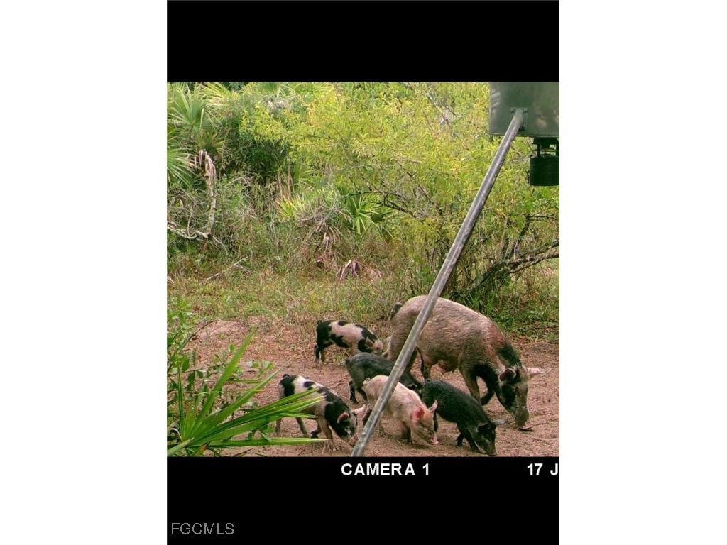 49585 Bermont Road Punta Gorda FL 33982 2025020888 image21