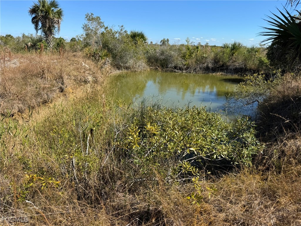 49585 Bermont Road Punta Gorda FL 33982 2025020888 image24