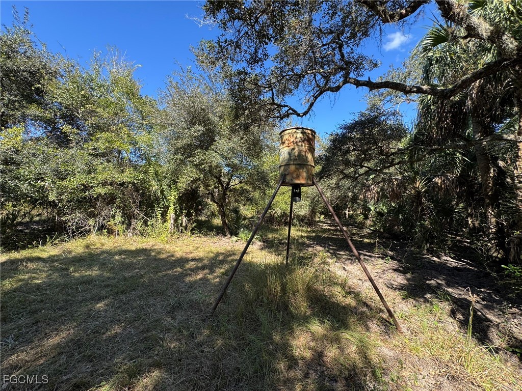 49585 Bermont Road Punta Gorda FL 33982 2025020888 image25