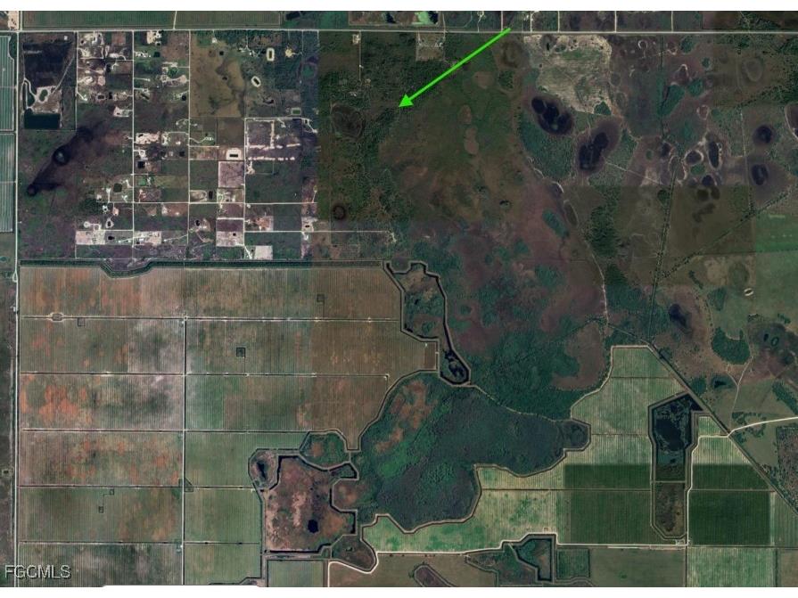 49585 Bermont Road Punta Gorda FL 33982 2025020888 image30