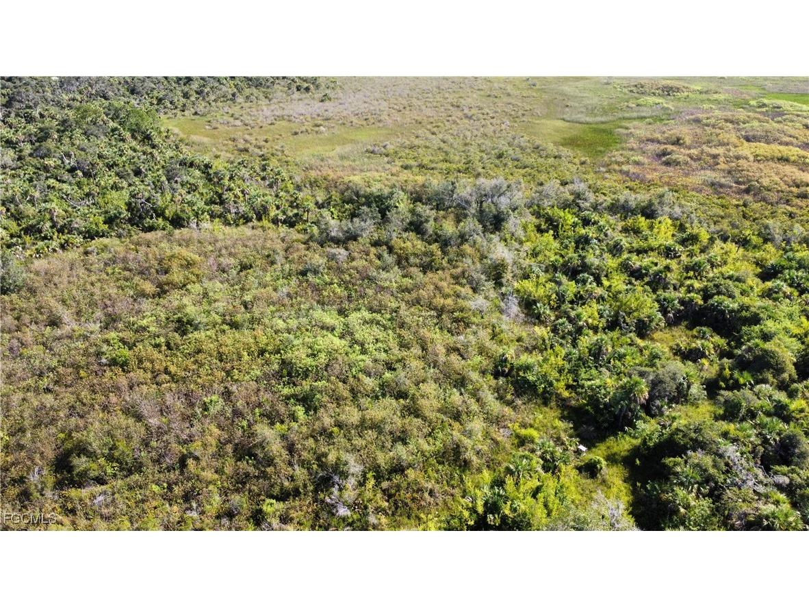 49673 Bermont Road Punta Gorda FL 33982 2025002987 image10