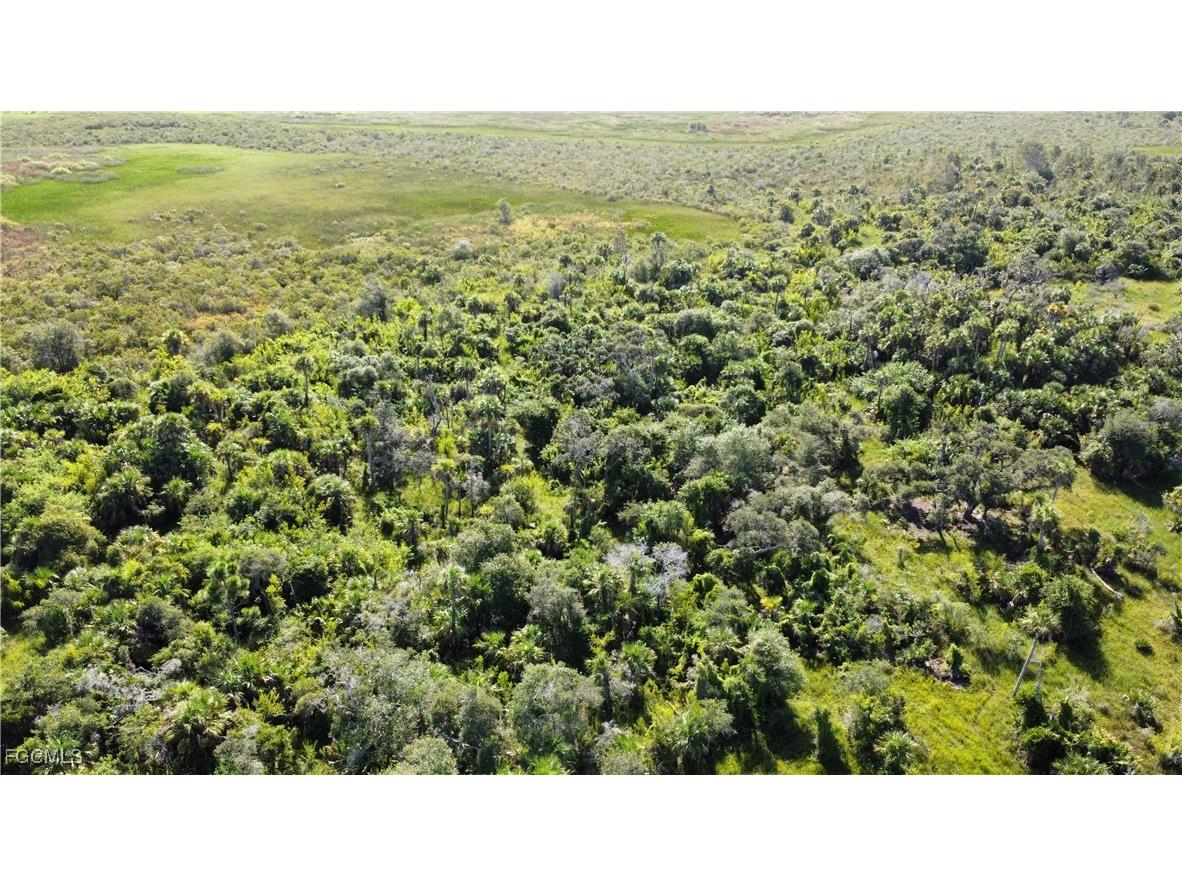 49673 Bermont Road Punta Gorda FL 33982 2025002987 image11