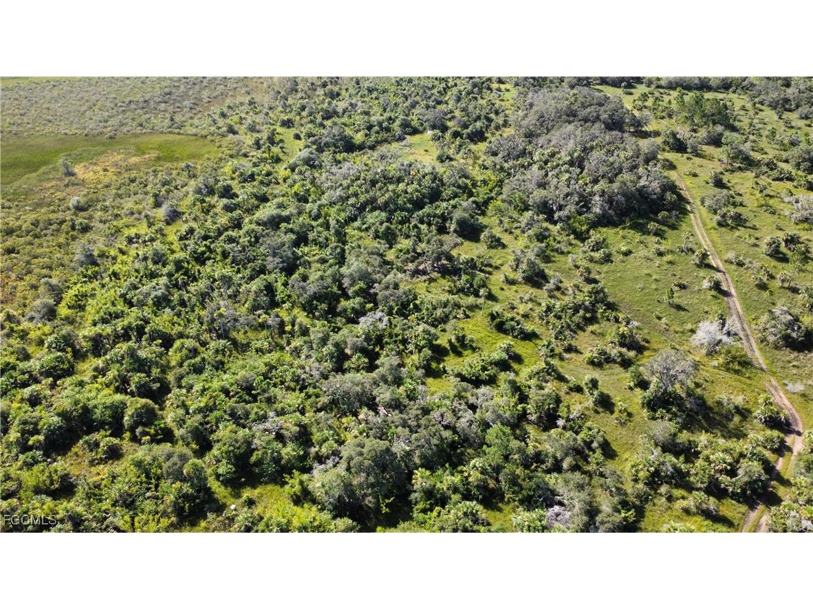 49673 Bermont Road Punta Gorda FL 33982 2025002987 image14