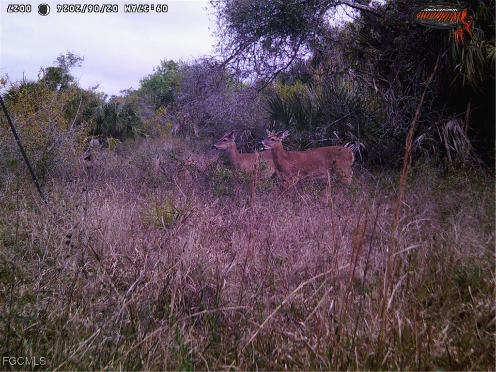 49673 Bermont Road Punta Gorda FL 33982 2025002987 image18